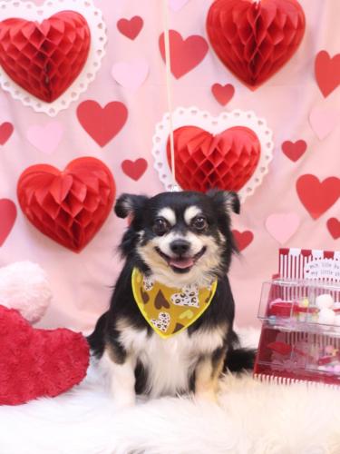 20240224レオくん